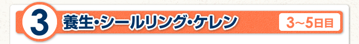 養生・シールリング・ケレン