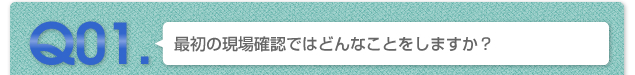 Q01.最初の現場確認ではどんなことをしますか？