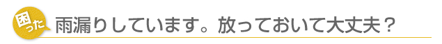 雨漏りしています。放っておいて大丈夫？